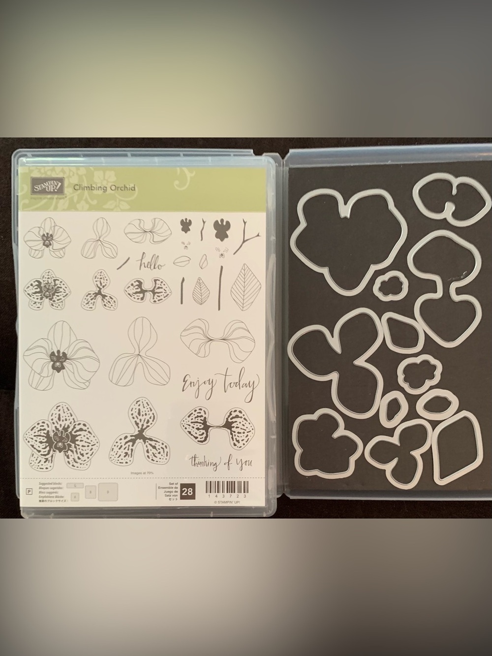 Stampin' Up! Climbing Orchid Double Clear Stamps and Die Set